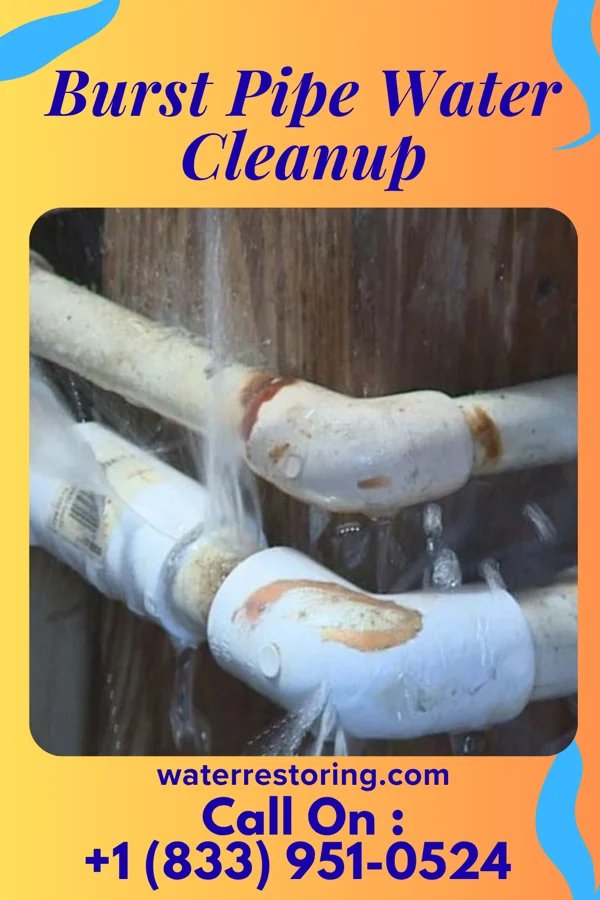 Burst Pipe Water Cleanup in Fairplains, NC