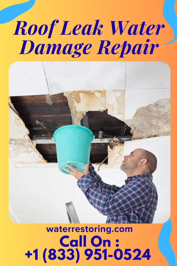Roof Leak Water Damage Repair in Fairplains, NC